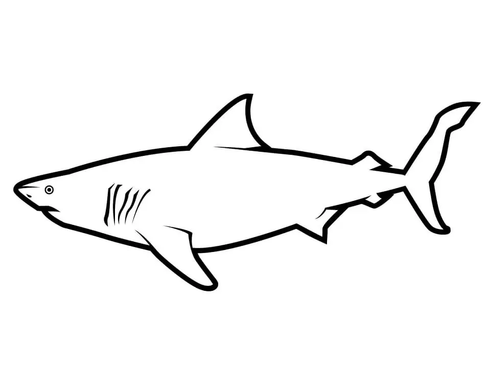 Simple Great White Shark - Coloring Pages