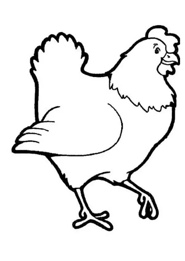 Einfaches Huhn