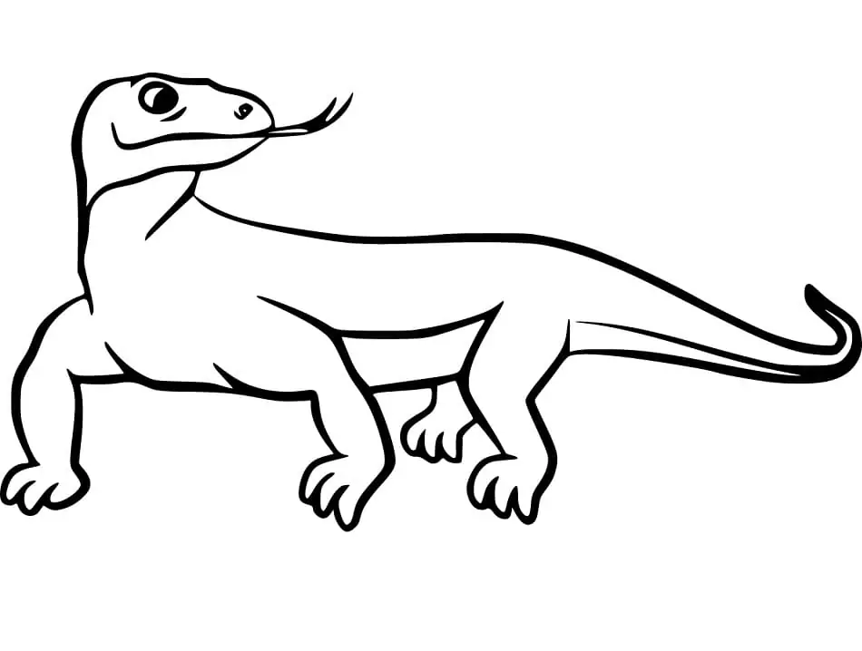Komodo Dragon on Rock Coloring Page - Free Printable Coloring Pages for ...