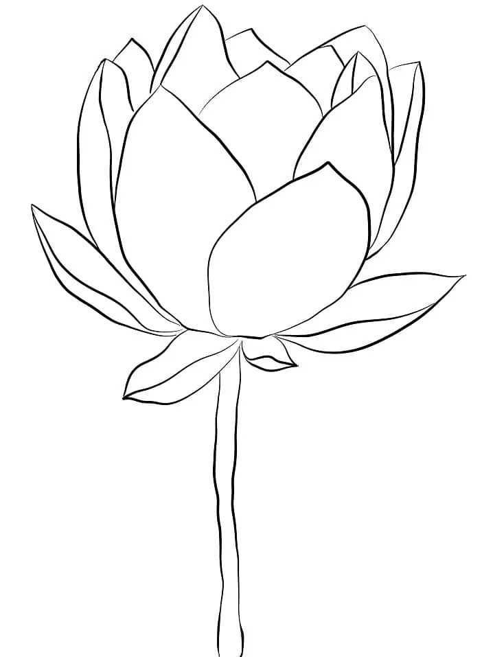 Einfacher Lotus