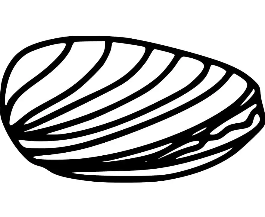 Simple Mussel