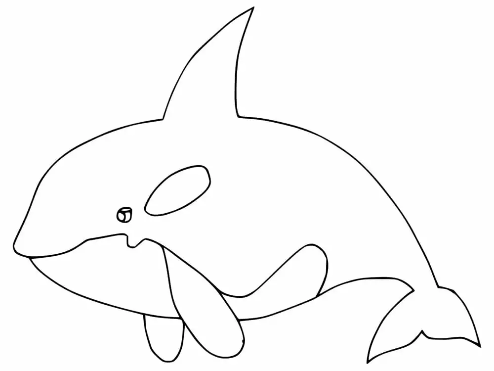 Simple Orca Whale