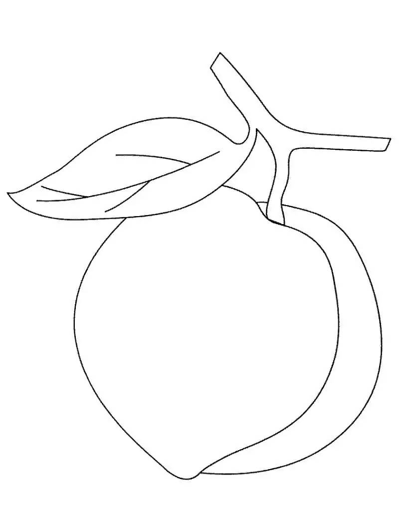 Einfacher Pfirsich 2