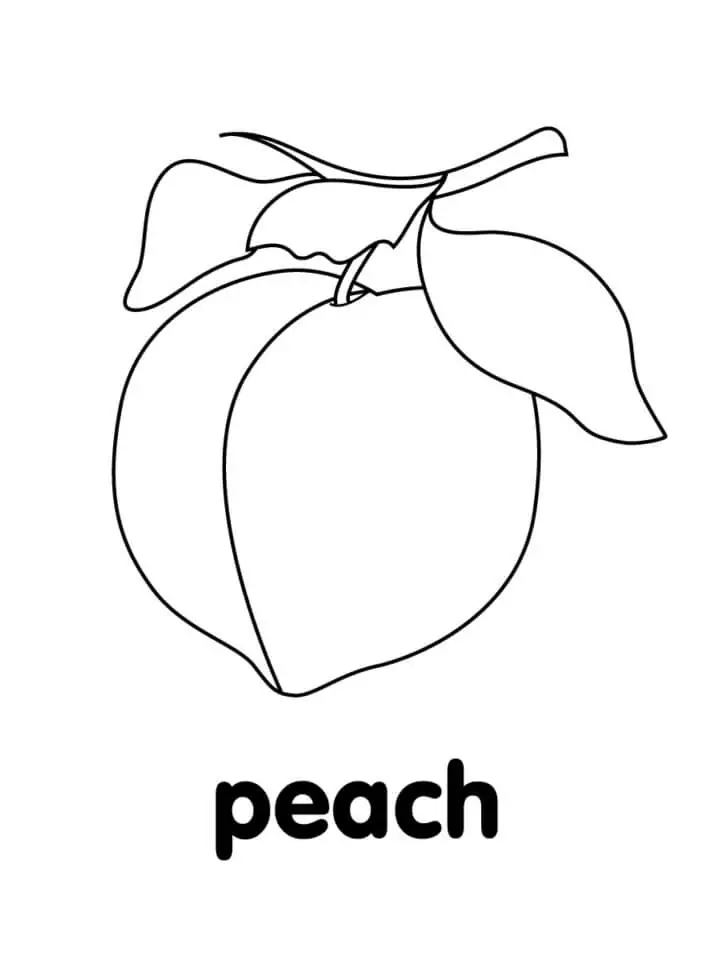 Simple Peach Fruit