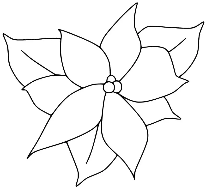 Simple Poinsettia Flower