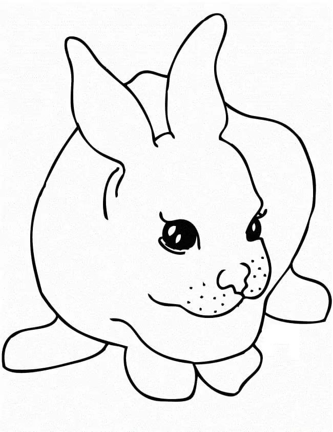 Einfaches Kaninchen