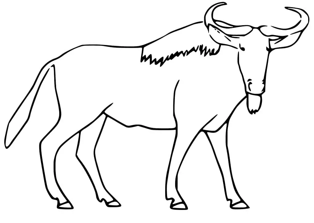 Einfache Gnus