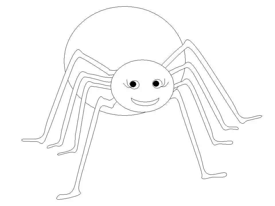 Spider 7