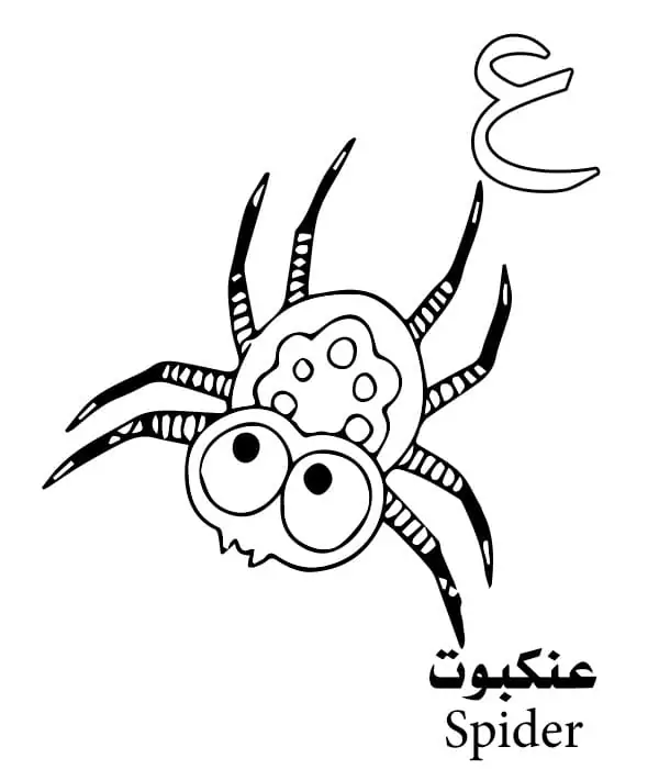 Spider Arabic Alphabet