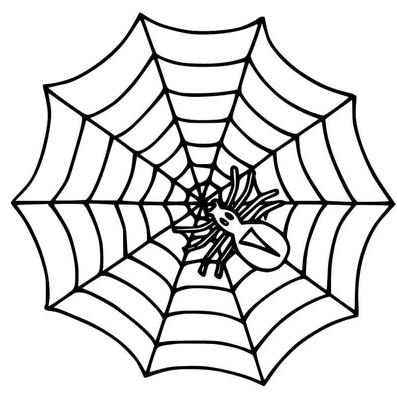 Spider Webs - Coloring Pages