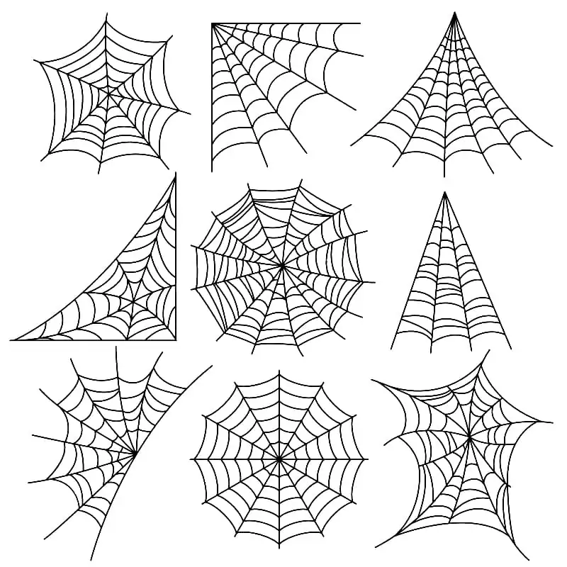 Spinnweben