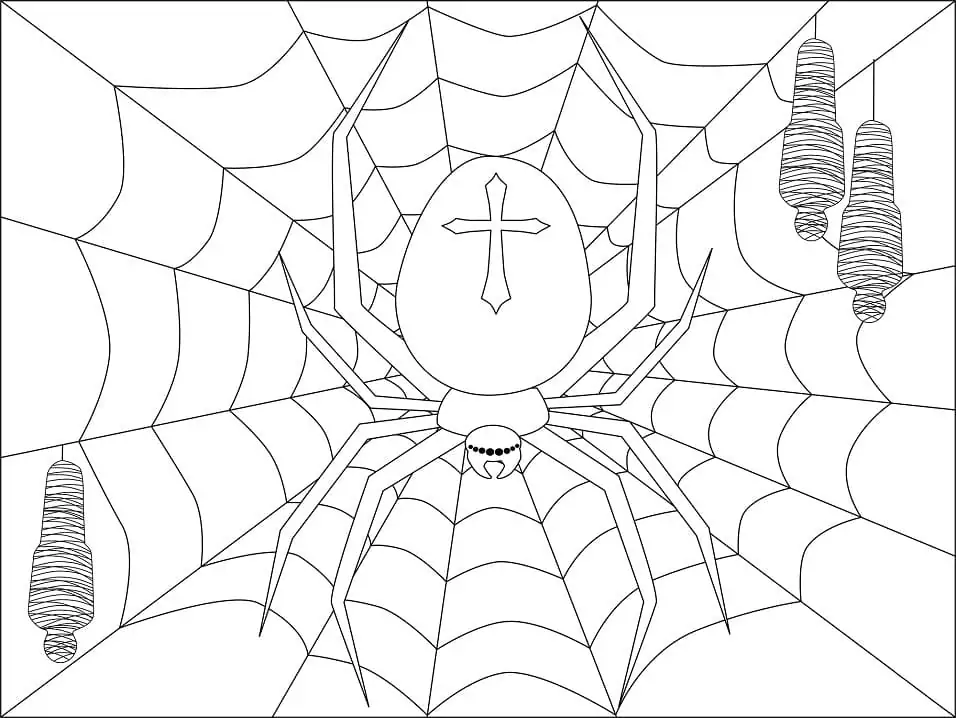 Spider to Color