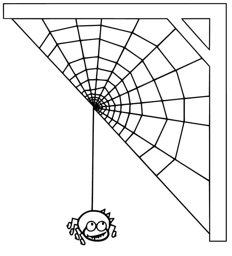 Spider with Spider Web