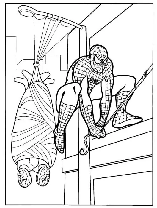 Spiderman Catching Thief