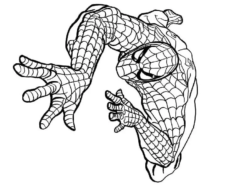 Spiderman - Coloring Pages