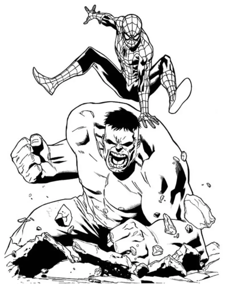 Spiderman and Hulk