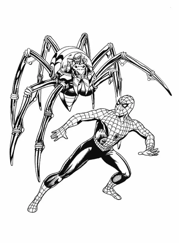 Spiderman and Spider