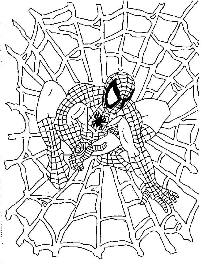 Spiderman und das Netz