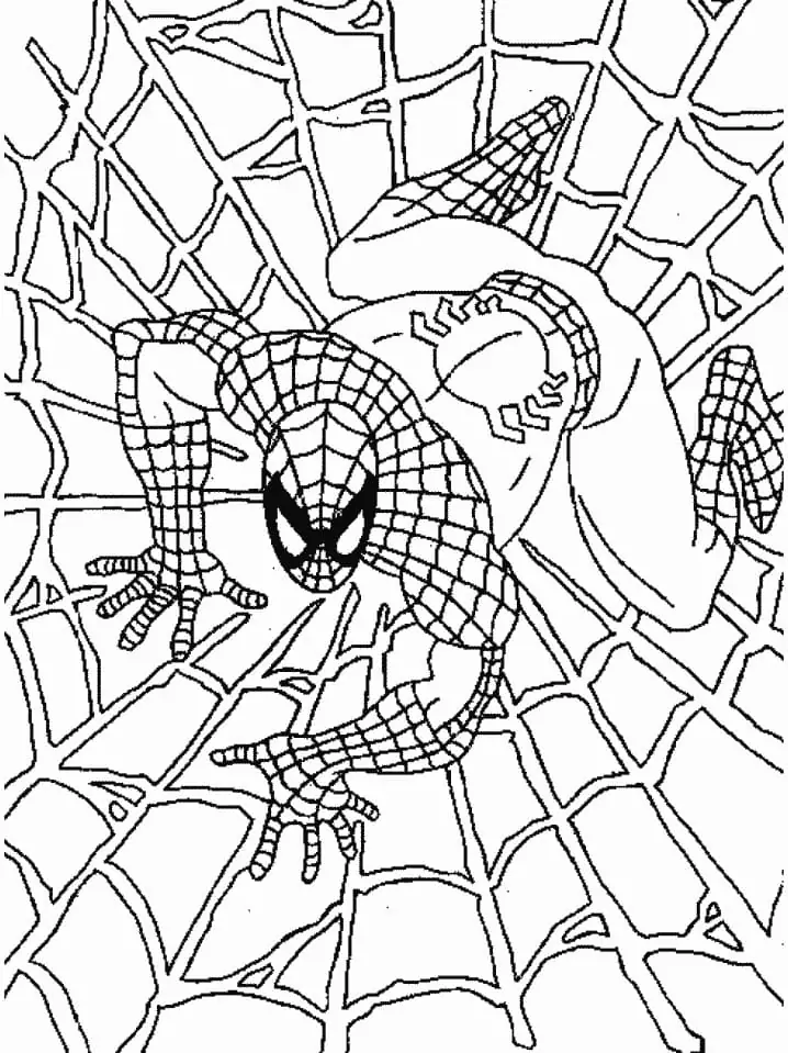 Spiderman im Spinnennetz