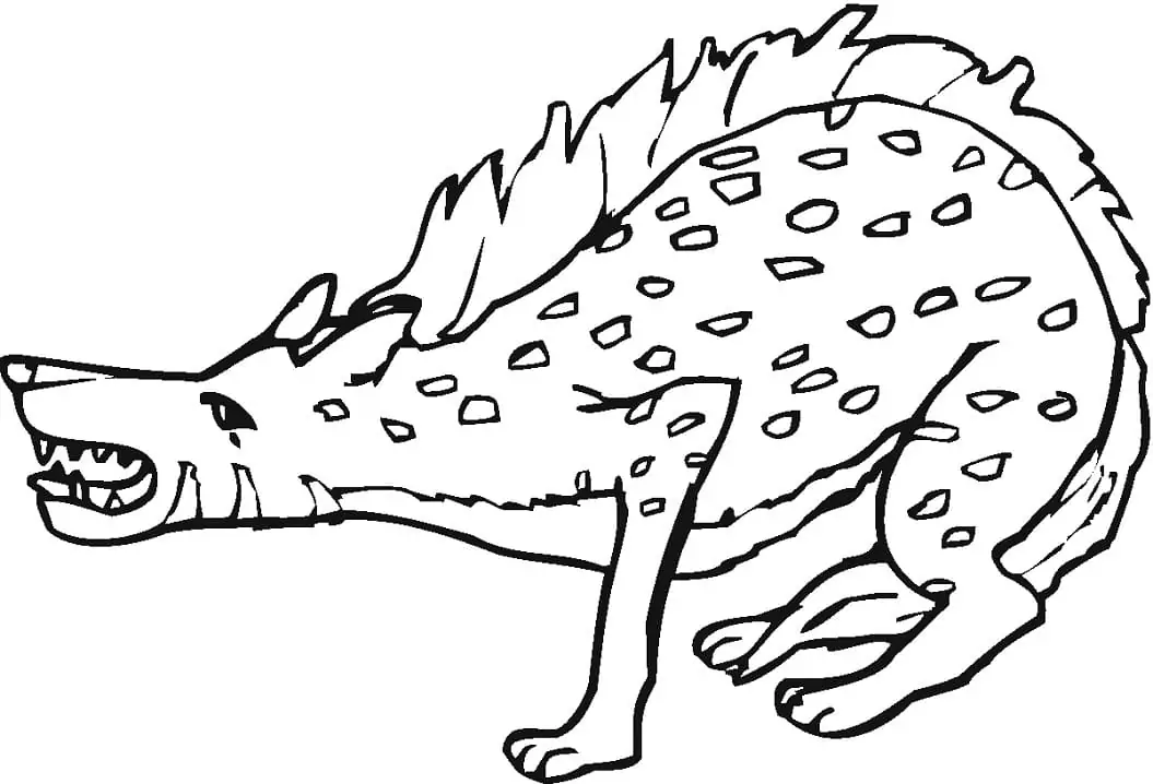 Spotted Hyena 4