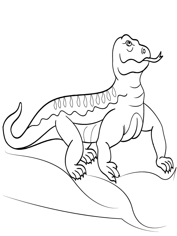 Standing Komodo Dragon