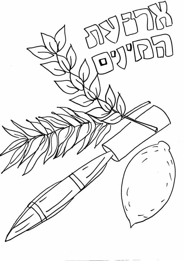 Sukkot 1