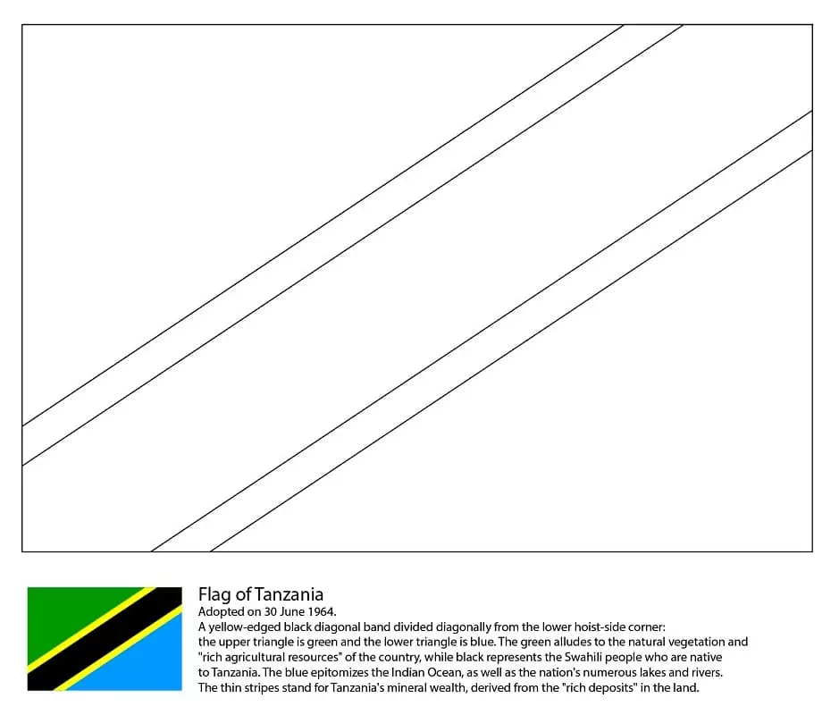 Tanzania Flag 1
