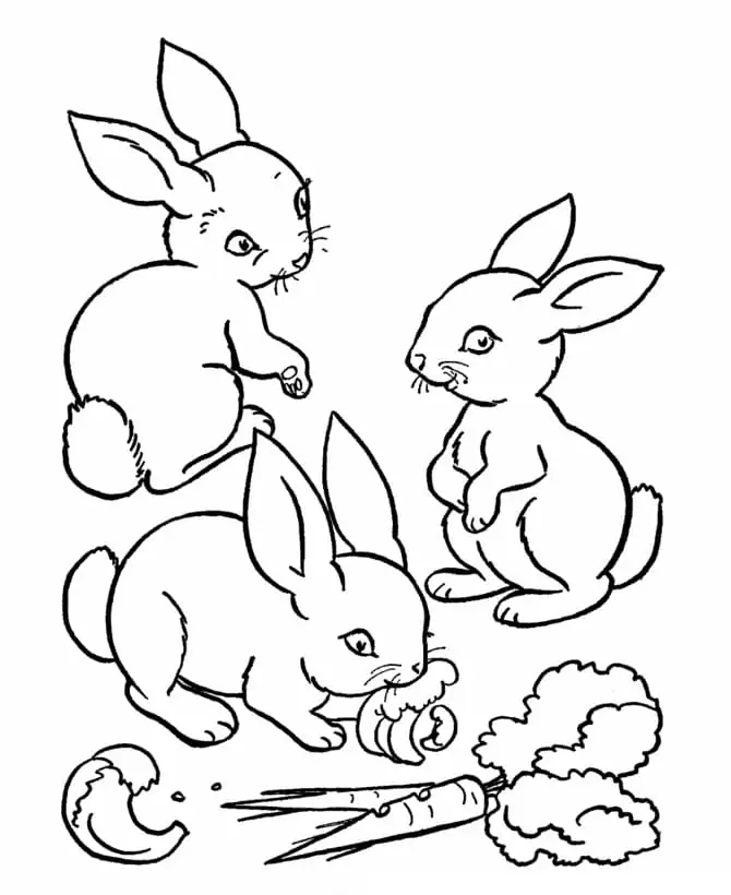 Drei Kaninchen