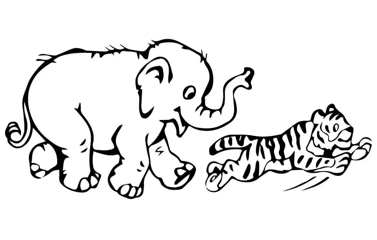 Tiger und Elefant