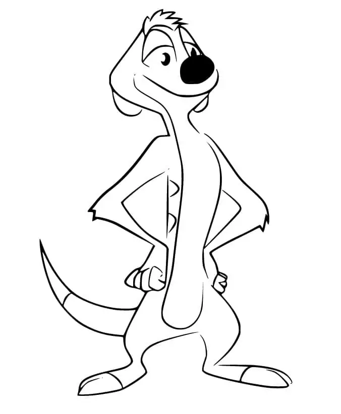 Timon from The Lion Guard