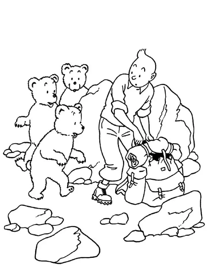 Tim und Struppi und Bären