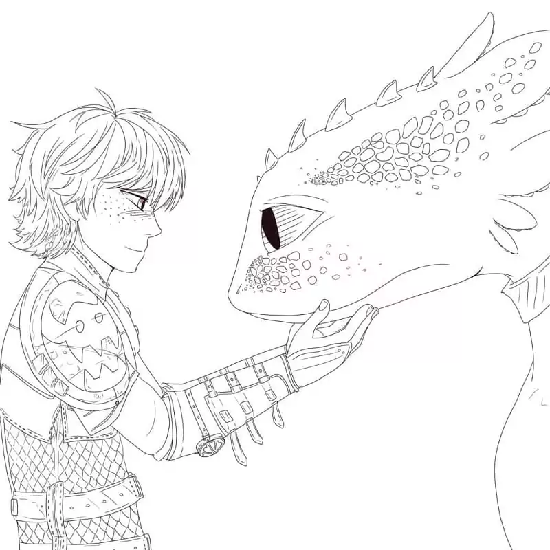Toothless with Hiccup