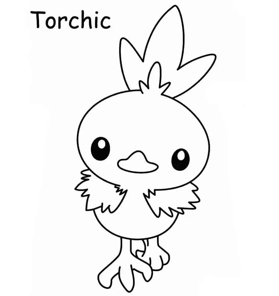 Torchic Image
