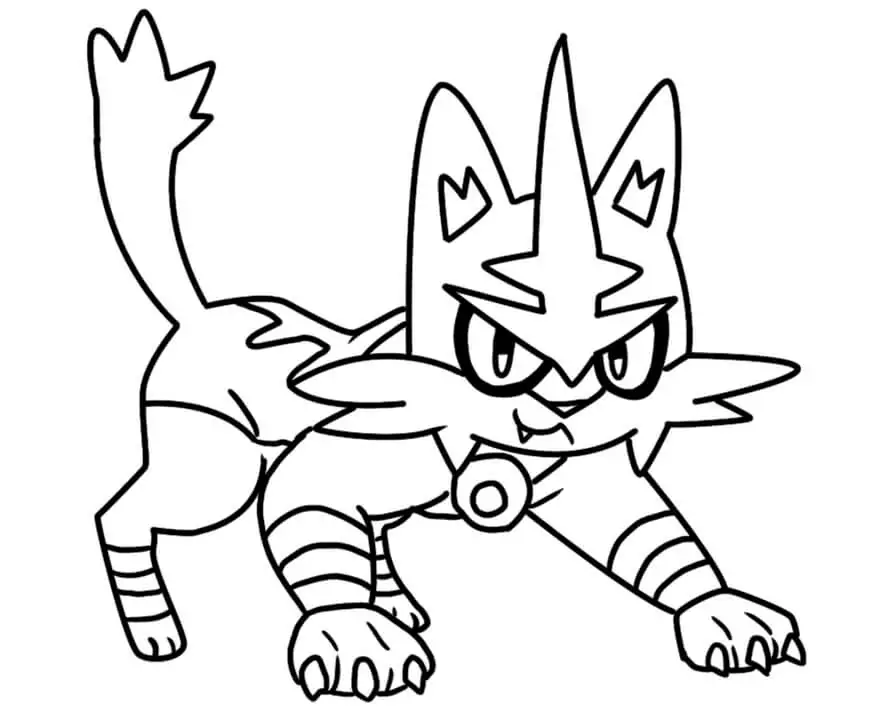 Torracat Pokemon 2