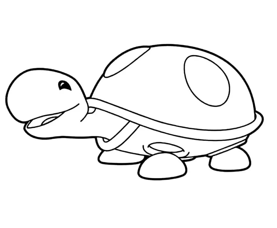 Tortoise from Uki