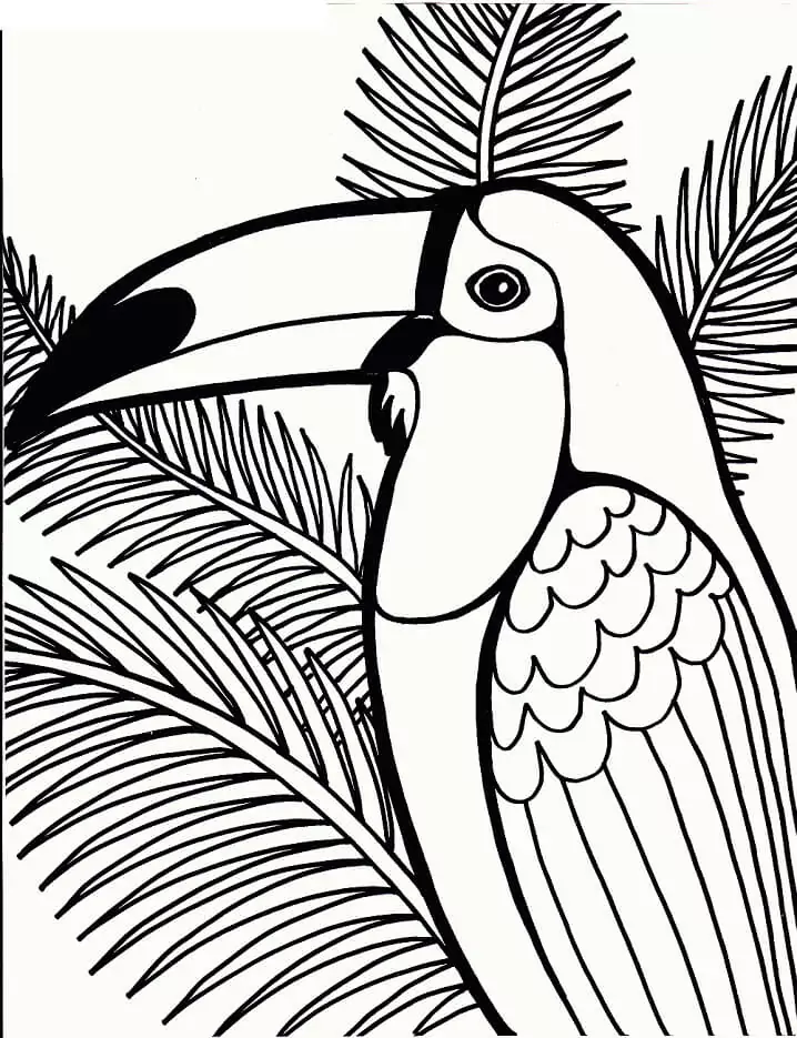 Toucan Bird 3