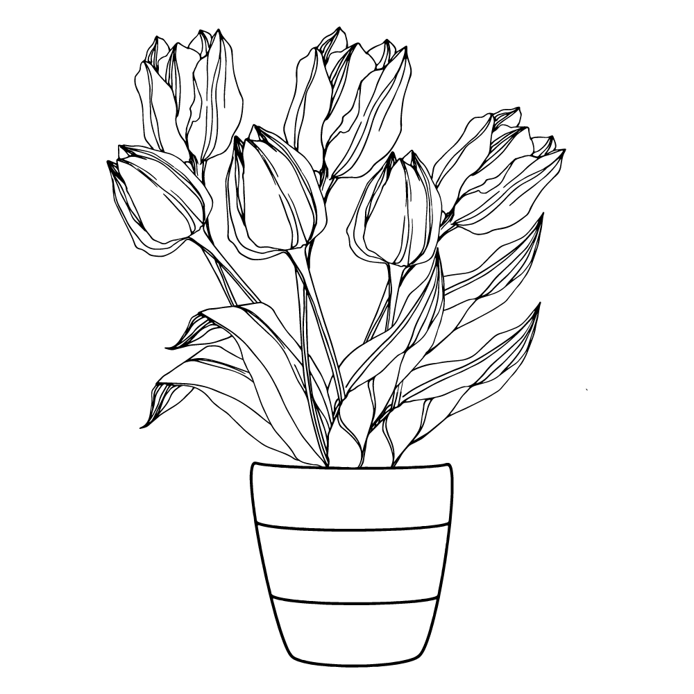 Tulip coloring page-03