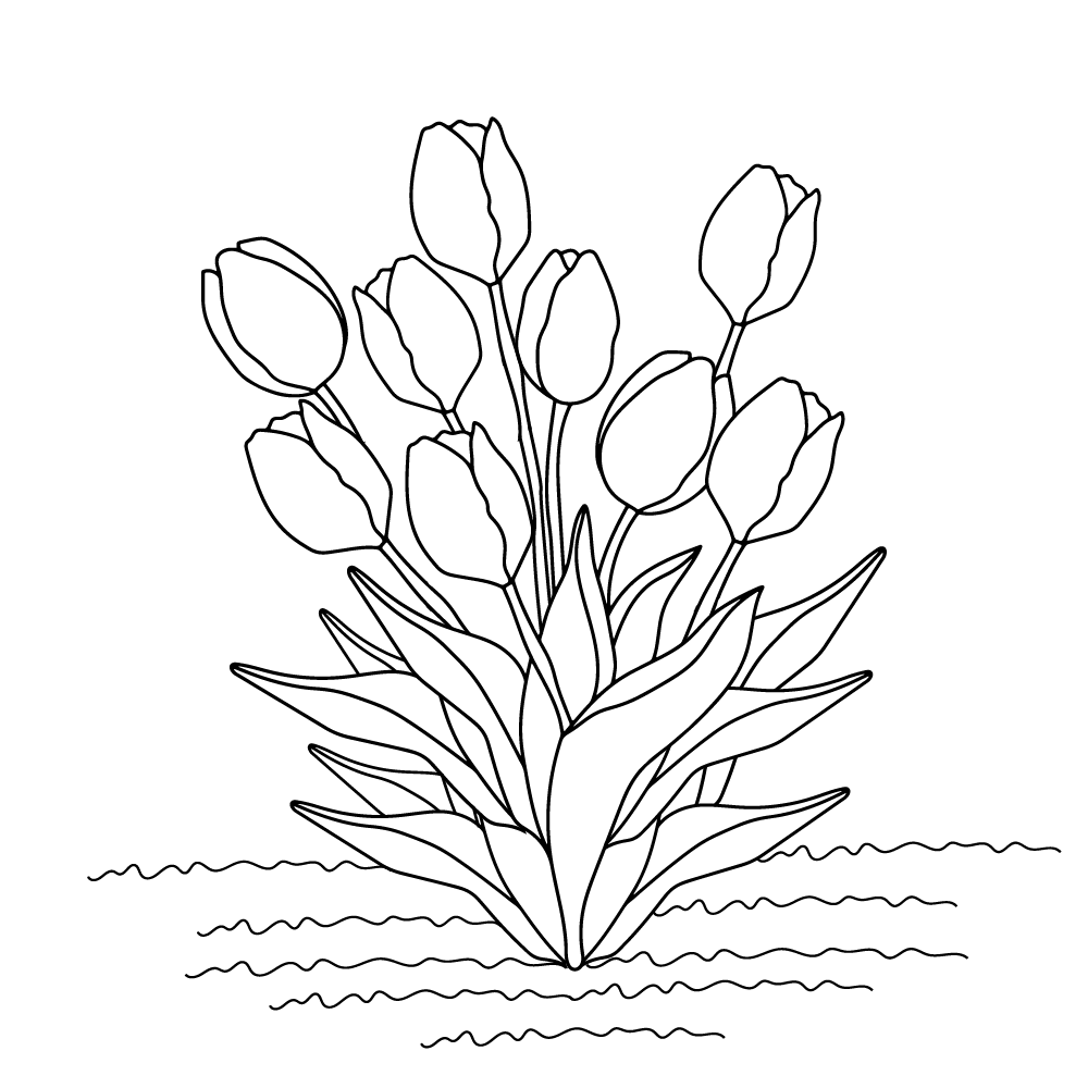Tulip coloring page-06