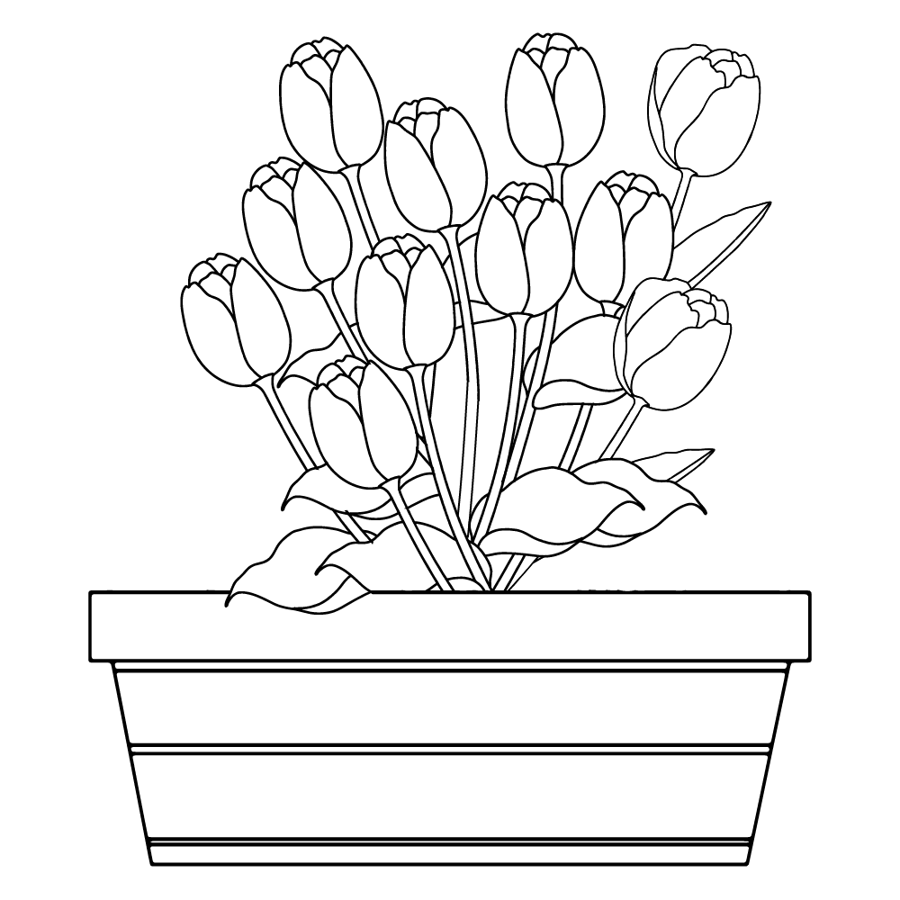 Tulip coloring page-13