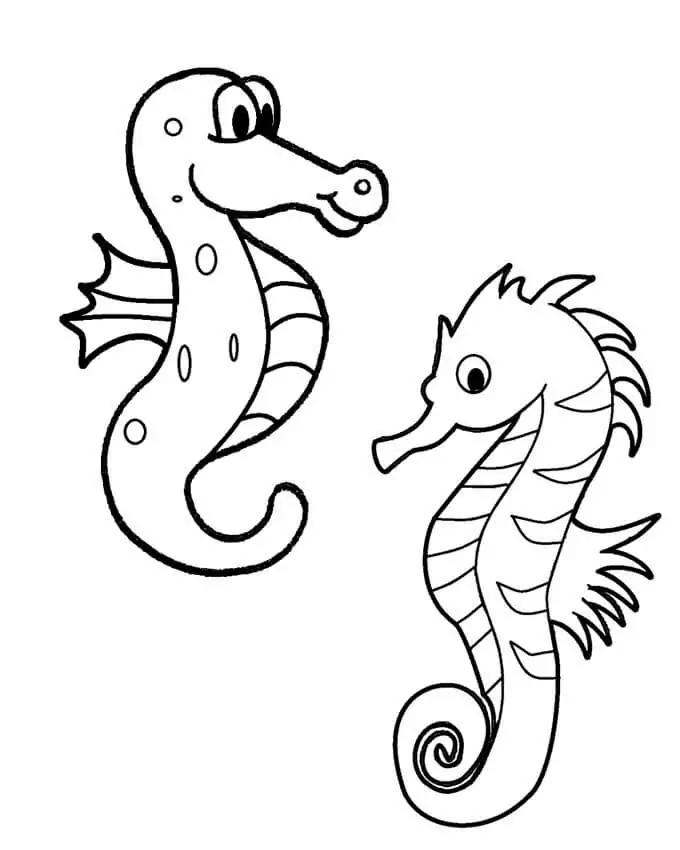 Two Funny Seahorses