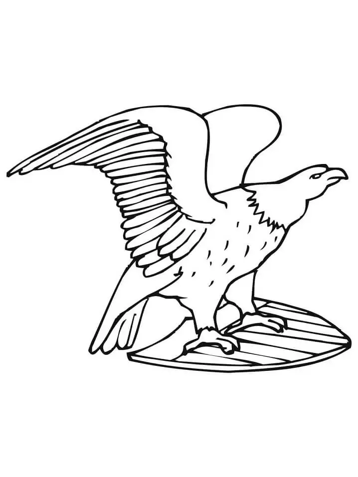 US Bald Eagle