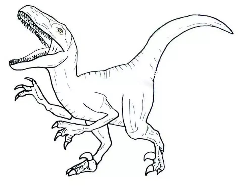 Velociraptor 7