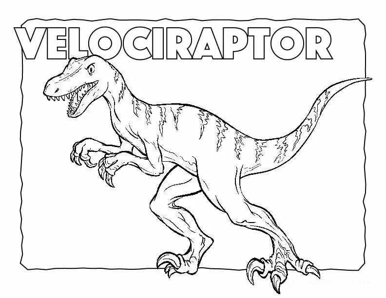 Velociraptor 8