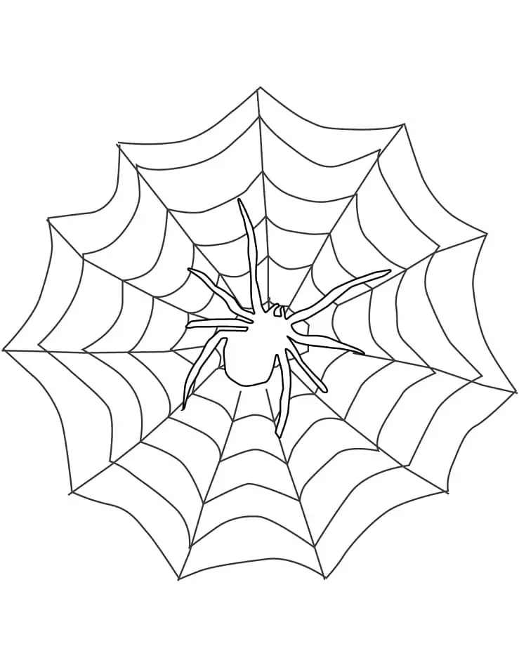 Sehr einfache Spinne
