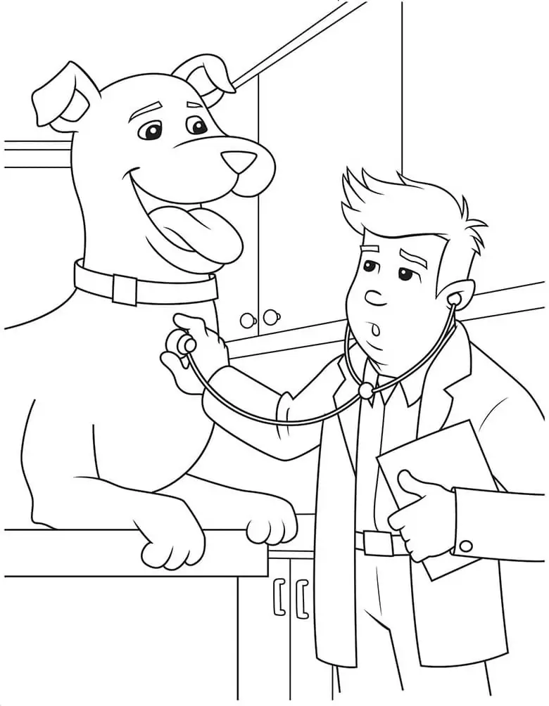 Veterinarian and Big Dog