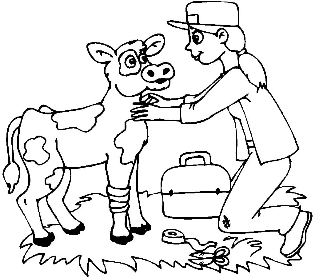 Veterinarian and a Cow