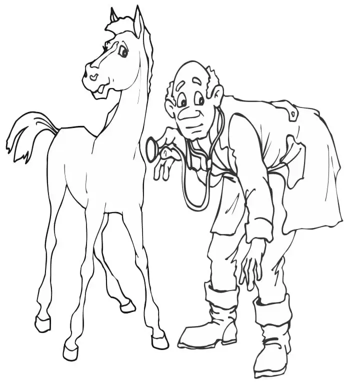 Veterinarian and a Horse