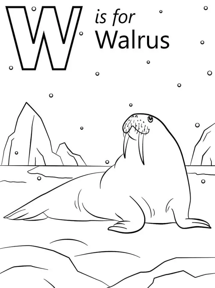 Walrus Letter W