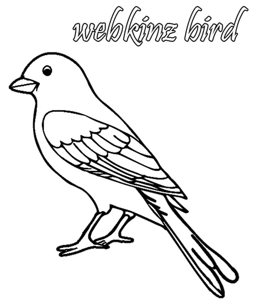 Webkinz Bird