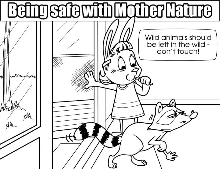 Wild Animals Safety